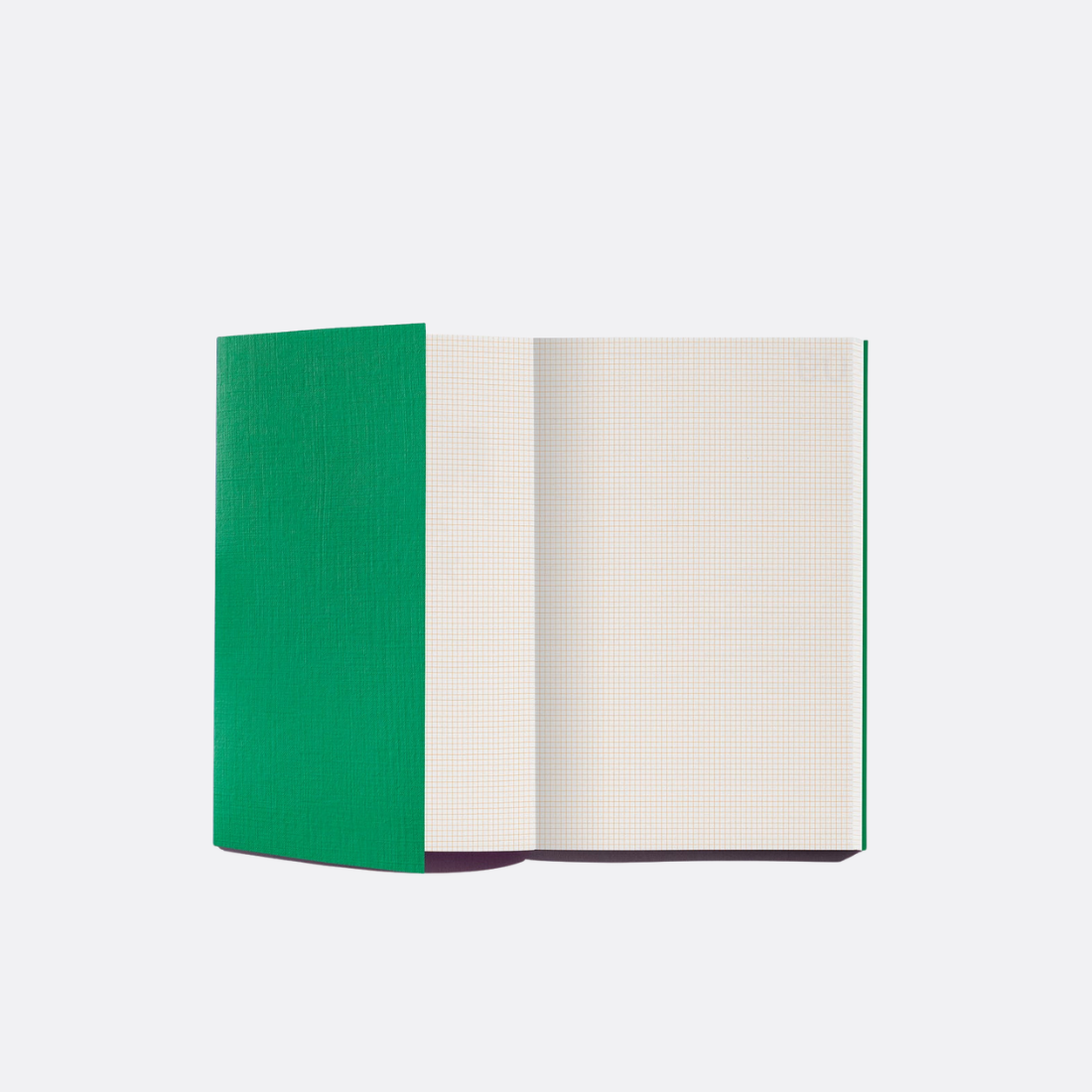 <PRODUCTTITLE> in Green by Edition Julie Joliat.