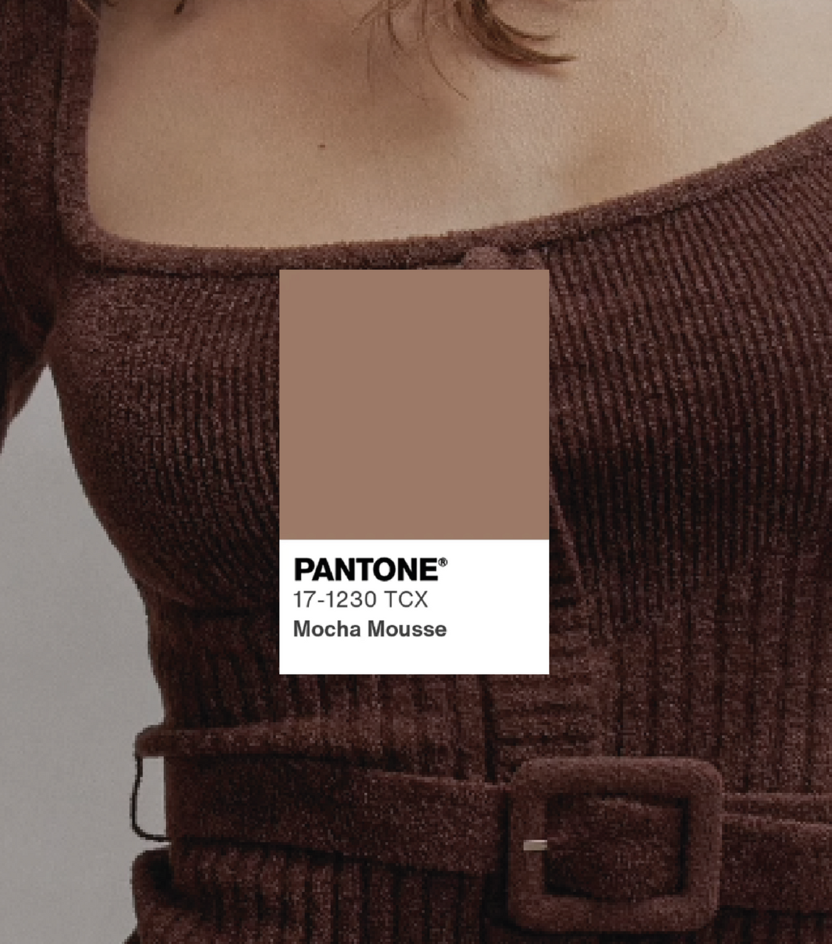 The Color of the Year-The Feeting Room